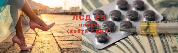 прущие грибы Богданович