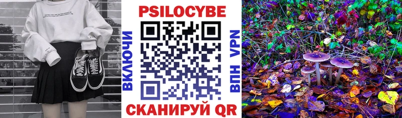 Псилоцибиновые грибы GOLDEN TEACHER  Кондрово 